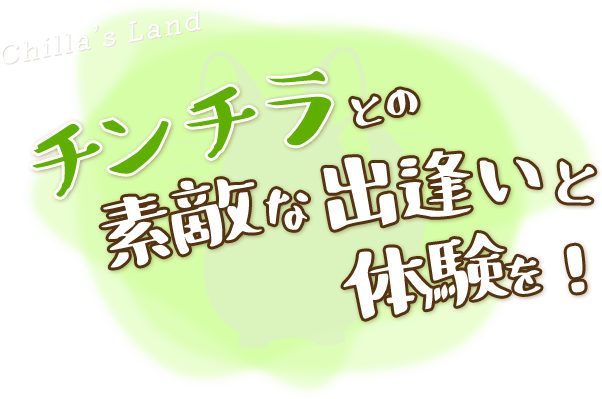 チンチラとの素敵な出逢いと体験を！